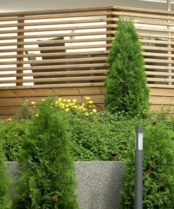 Kestopuu vinorima 42x42/28 mm ruskea